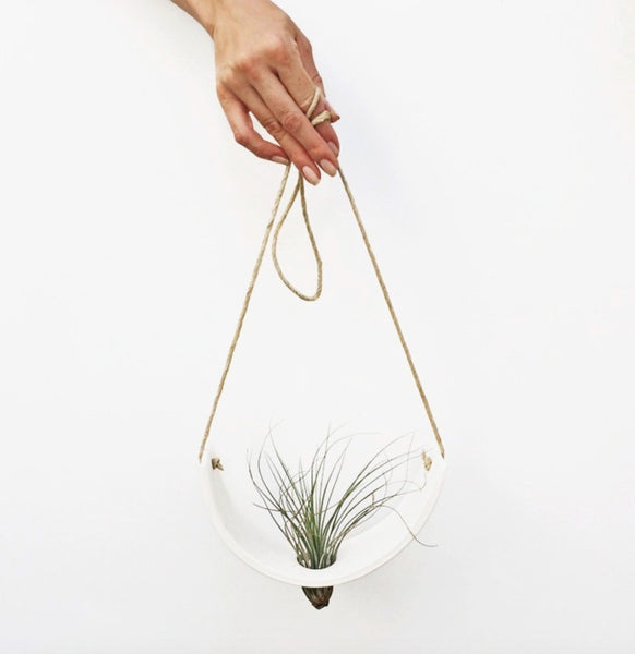 Hanging Air Plant Cradle Lg