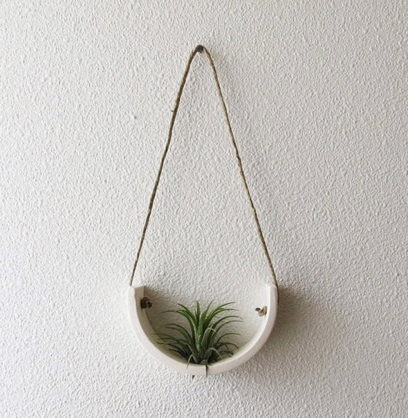 Hanging Air Plant Cradle Sm