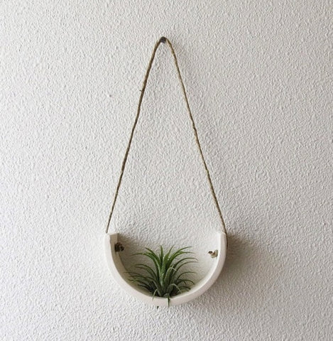 Hanging Air Plant Cradle Sm