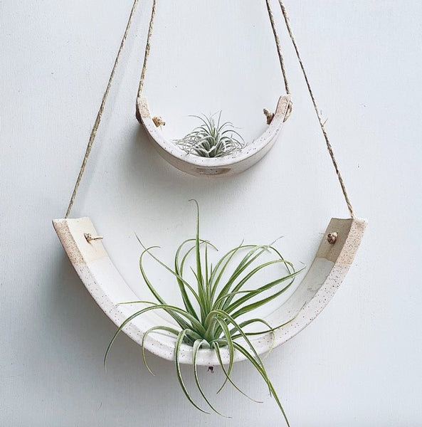 Hanging Air Plant Cradle Lg